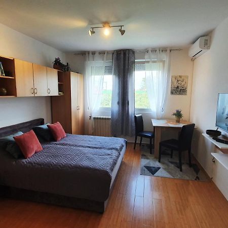 Apartman 64 - Besplatan Parking Za Goste Novi Sad Exteriör bild