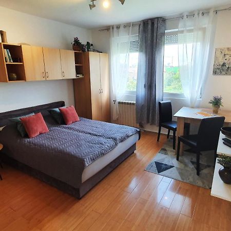 Apartman 64 - Besplatan Parking Za Goste Novi Sad Exteriör bild