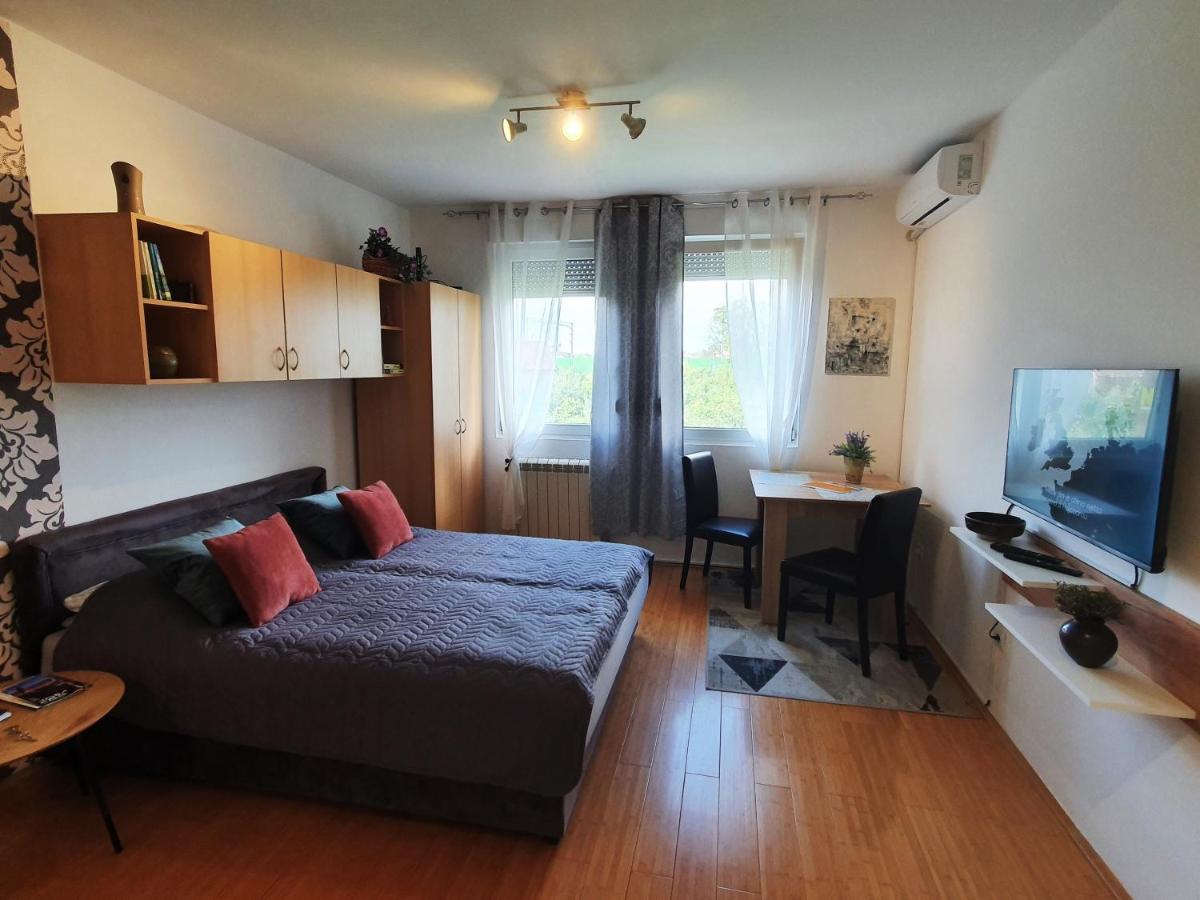 Apartman 64 - Besplatan Parking Za Goste Novi Sad Exteriör bild