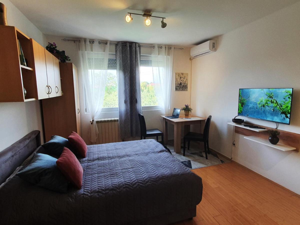 Apartman 64 - Besplatan Parking Za Goste Novi Sad Exteriör bild